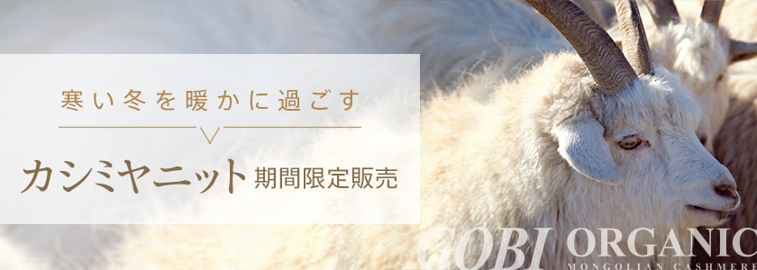 カシミヤニット期間限定販売
