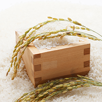 麺類・米・乾物・吸物