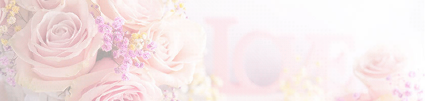 結婚お祝い WEDDING GIFT