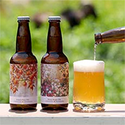 クラフトビール『Sunflower White』『Honey Hoppy IPA』『Pomelo Hazy IPA』6本セット（3種×各2本、各330ml）