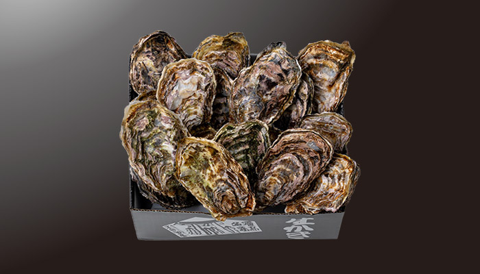 殻付かき18コ〈B-18〉