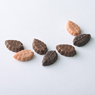 モンロワール リーフメモリーカラーボックス20個入り（リーフメモリー〔桃・赤・紫・茶・朱〕各4個入）