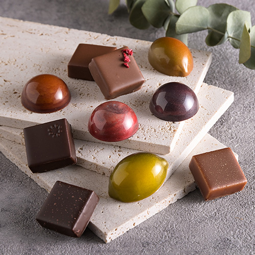 Chocolaterie S【ショコラトリーエス】エス New セレクション（10個入）