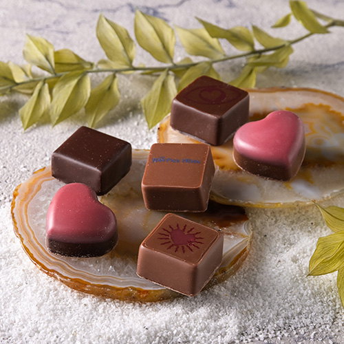 JEAN-PAUL HEVIN JAPON【ジャン＝ポール・エヴァン】ボンボン ショコラ 6個アーバン ジャングル 