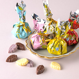 【モンロワール】リーフメモリーカラーボックス20個入