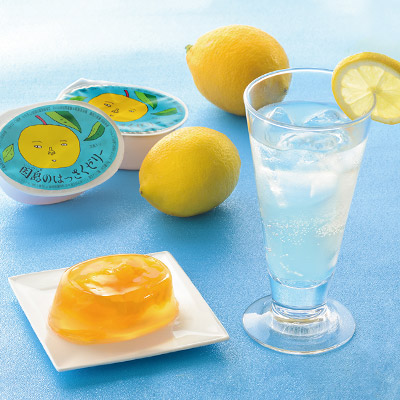 広島レモンサイダー・八朔ゼリー ギフトセット