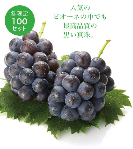 三次ジャンボピオーネ