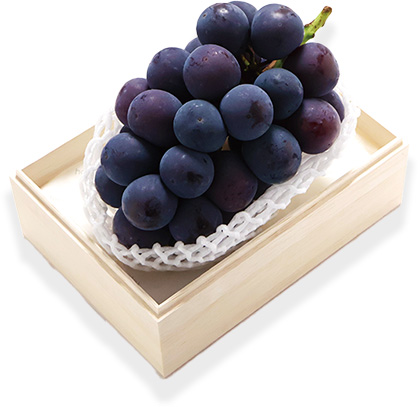 三次ジャンボピオーネ　1房約600g、木箱入