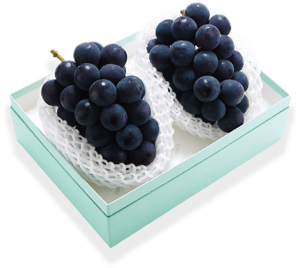 三次ピオーネ　2房約1kg