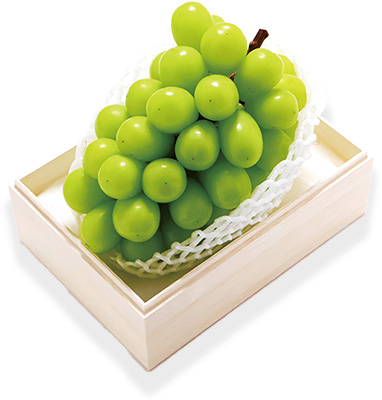 岡山産 特選シャインマスカット