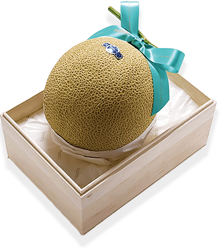 静岡産 クラウン印マスクメロン