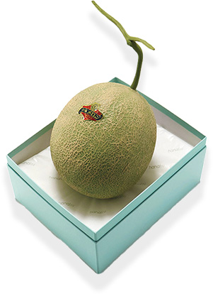 北海道産 夕張メロン