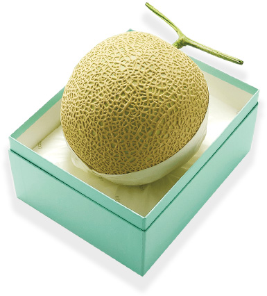 北海道産 富良野メロン