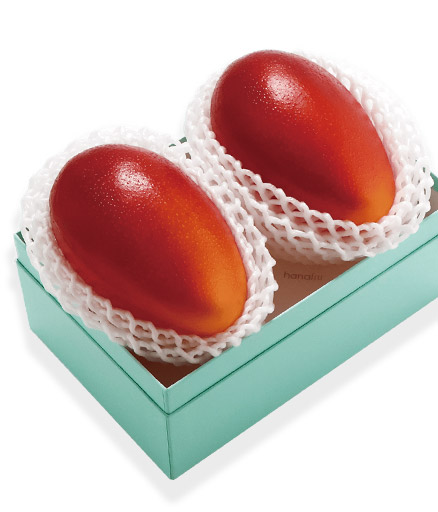 宮崎産 完熟マンゴー　2玉約1kg