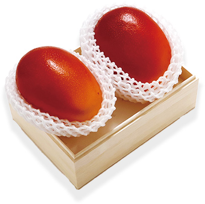 宮崎産 完熟マンゴー（太陽のたまご）