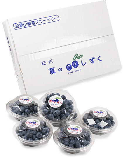 和歌山県産　ブルーベリー『夏のしずく』
