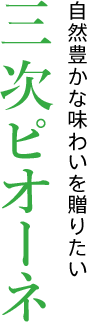 三次ピオーネ 