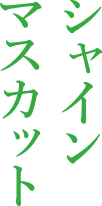 シャインマスカット