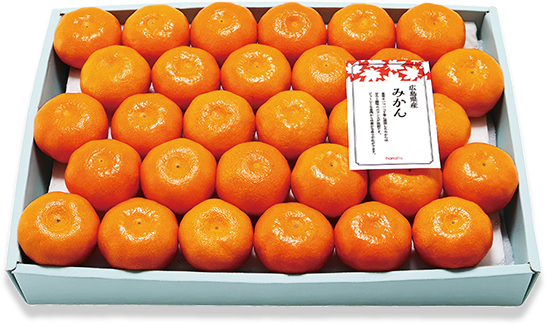 広島県産 みかん（JAひろしま せとだ選果場）
