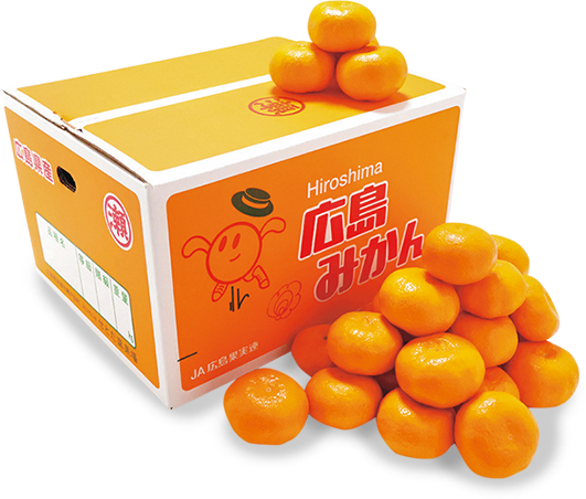 広島県産 みかん（JAひろしま せとだ選果場）