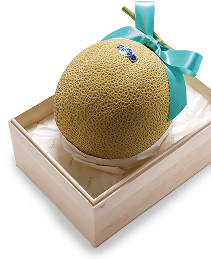 静岡産 クラウン印マスクメロン
