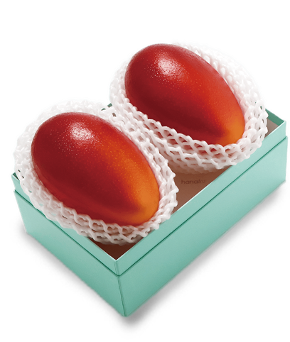 宮崎産 完熟マンゴー　2玉約1kg