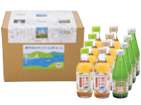【桜南食品】瀬戸内のサイダー詰め合わせ１２本入り