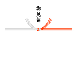 御見舞、御伺い(目上の方)