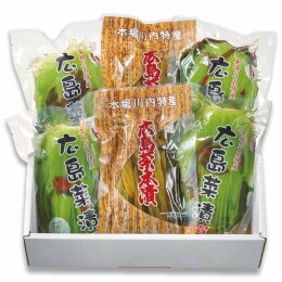 JA広島市 本場川内特産 広島菜漬セット〈FUKU-1〉