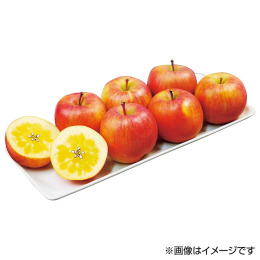 青森産 小蜜りんご5～6玉【お届け時期：11月下旬～12月下旬】