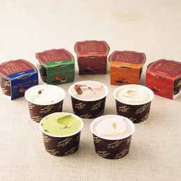 モンロワール 生チョコレートアイスクリーム〈IC393〉