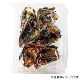 かなわのかき 生食用 ハーフシェル8コ