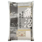 新潟県産 魚沼こしひかり
