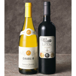 フランスブルゴーニュ＆ボルドー金賞受賞 紅白ワインセット（木箱入）〈FZ-100C〉