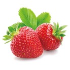 安芸こまち 初摘み 12～18粒【お届け時期：12月上旬より順次】