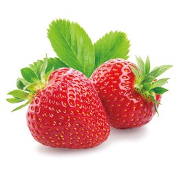 安芸こまち 初摘み 12～18粒【お届け時期：12月上旬より順次】