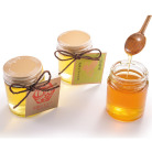 はつはな果蜂園 宮島・江田島・湯来はちみつ5本セット