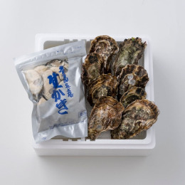 【米田海産】広島かき 加熱用 むき身500g、殻付かき8コ〈B8-A05〉