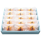 広島県産 華蜜柑 12～15玉【お届け時期：11月下旬より順次】