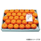 広島県産 みかん 60～66玉（JAひろしま せとだ選果場）【お届け時期：11月下旬より順次】