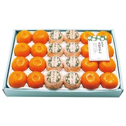 広島県産 大長 手選りみかん 24～30玉【お届け時期：11月下旬より順次】