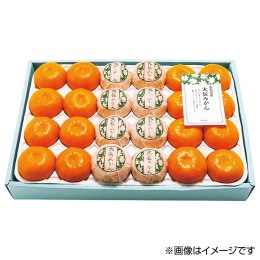 広島県産 大長 手選りみかん 48～60玉【お届け時期：11月下旬より順次】