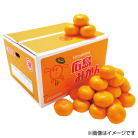 広島県産 みかん 5kg（JAひろしま せとだ選果場）【お届け時期：11月下旬より順次】