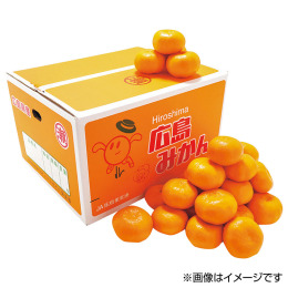 広島県産 みかん 5kg（JAひろしま せとだ選果場）【お届け時期：11月下旬より順次】