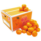 広島県産 みかん 10kg（JAひろしま せとだ選果場）【お届け時期：11月下旬より順次】