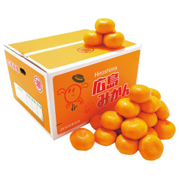 広島県産 みかん 10kg（JAひろしま せとだ選果場）【お届け時期：11月下旬より順次】