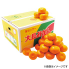 広島県産 大長みかん 5kg【お届け時期：11月下旬より順次】