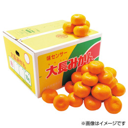 広島県産 大長みかん 5kg【お届け時期：11月下旬より順次】