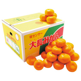 広島県産 大長みかん 10kg【お届け時期：11月下旬より順次】