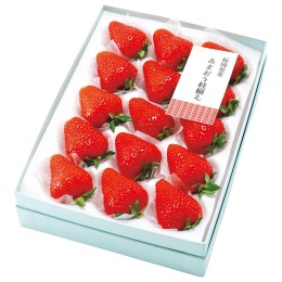 福岡県産 あまおう粒揃え 12～15粒【お届け時期：12月中旬～12月下旬】